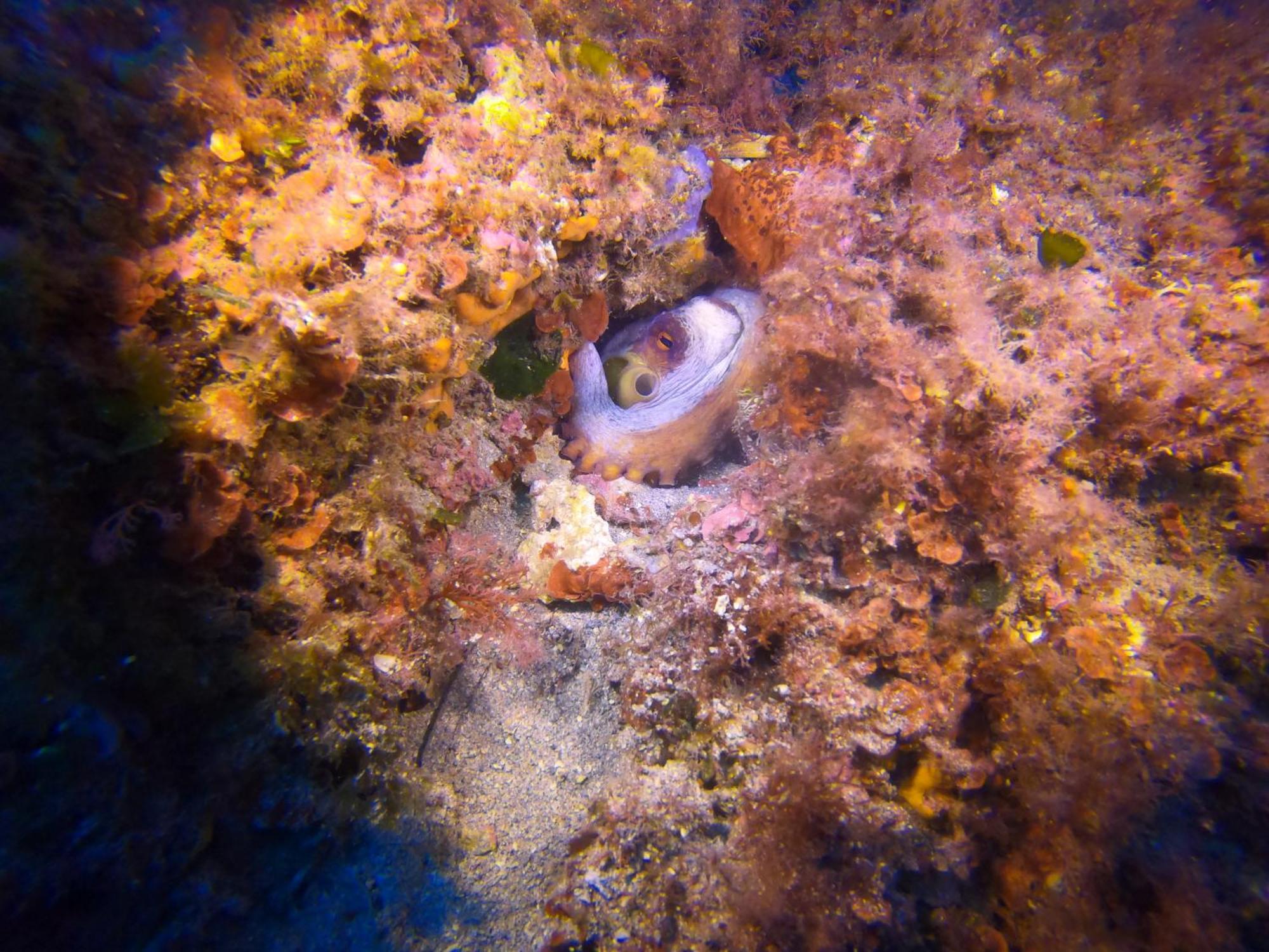Casetta Fardella 95 Trapani Exterior foto